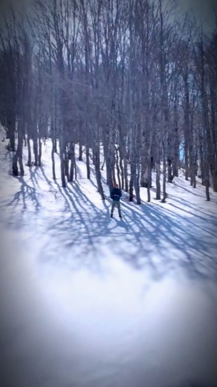 Gliding over snowy peaks